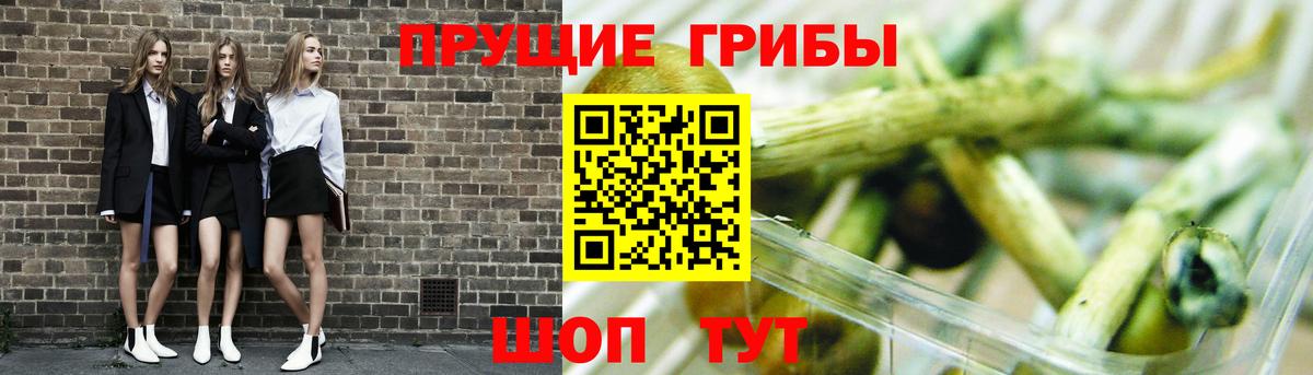 Псилоцибиновые грибы MAGIC MUSHROOMS  Вход с VPN  Назарово  Галлюциногенные грибы прущие грибы 
